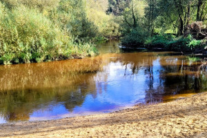 Gemeenten kunnen burgers beschermen tegen landbouwgif